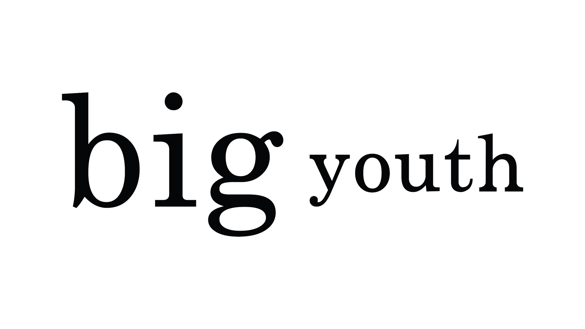 logobig youth1599666176 - Entreprise de Nettoyage à Paris 2 - [Hnet]