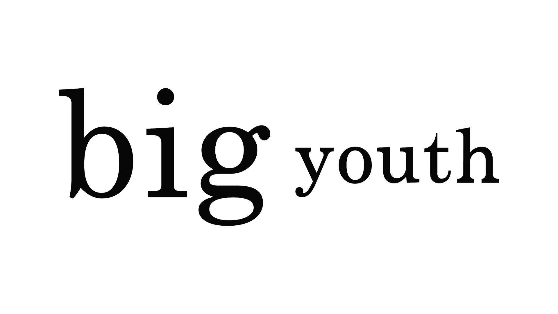 logobig youth1599666176 - Entreprise de nettoyage Paris 17 - [Hnet]